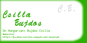 csilla bujdos business card